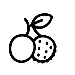 Simple Line Art Cherry and Lychee Fruit Food Ingredient Illustration