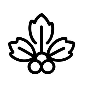 Simple Outline Decorative Holly Berry Leaf Winter Season Plant Icon