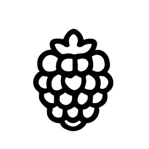 Simple Black Line Blackberry Fruit Illustration on White Background Clip Art