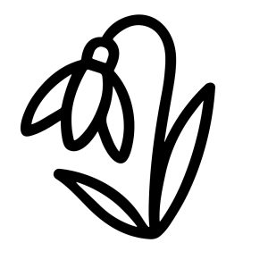 Simple Line Art Snowdrop Flower Elegant Spring Blossom Illustration