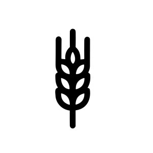 Simple Outline Wheat Ear Grain Plant Agriculture Minimalist Icon