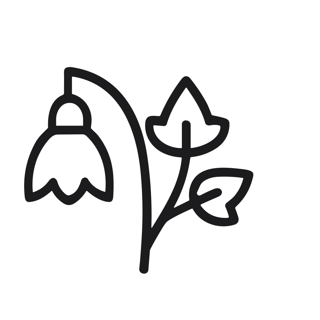 Minimalist Line Art Snowdrop Flower with Leaves Botanical Illustration Icon
