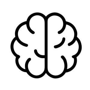 Simple Outline Human Brain Organ Anatomical Symbol Line Art Icon