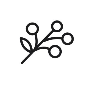 Simple Outline Berry Twig Branch with Leaf Plant Illustration Icon