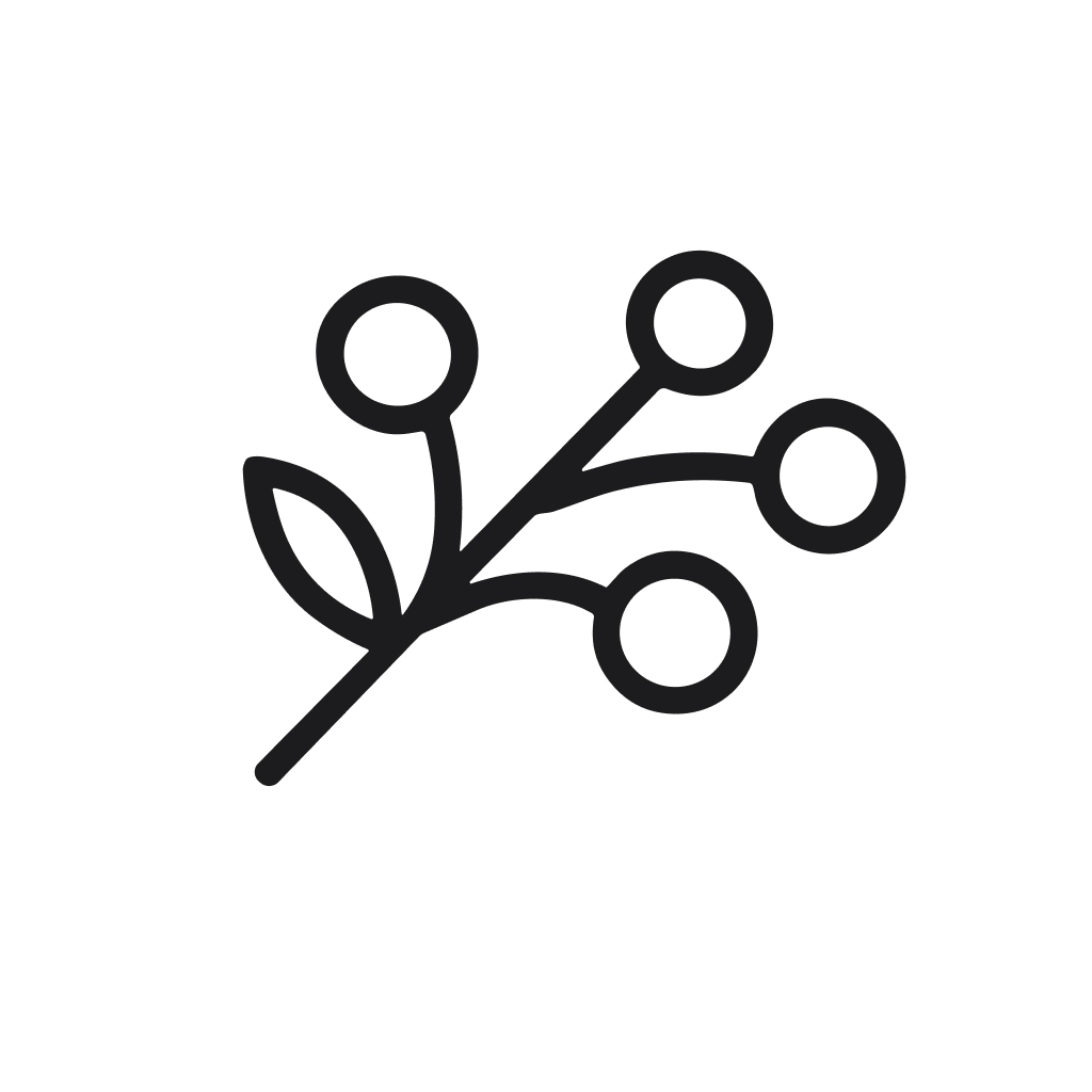Simple Outline Berry Twig Branch with Leaf Plant Illustration Icon