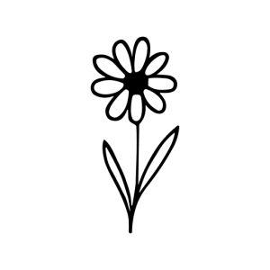 Simple Line Art Flower Outline Handdrawn Floral Botanical Illustration