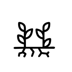 Minimalist Outline Growing Plant with Roots and Leaves Icon Sign