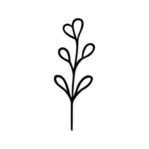Outline Handdrawn Branch Leaves Sprout Natural Organic Floral Botanical Element