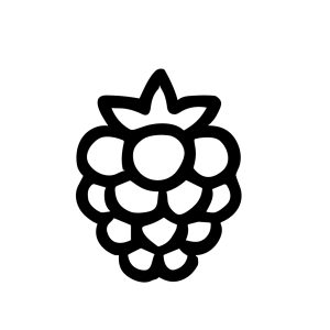 Simple Handdrawn Style Raspberry Berry Fruit Food Element Isolated Icon