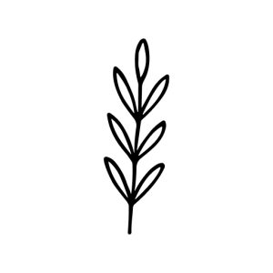 Simple Outline Handdrawn Delicate Leaf Branch Decoration Element Icon