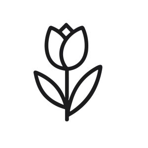 Simple Outline Isolated Tulip Flower Stem Floral Plant Illustration