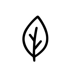 Minimalist Outline Single Leaf Icon Isolated on White Background Illustration