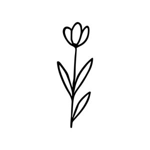 Simple Outline Handdrawn Tulip Flower Botanical Element Icon Design