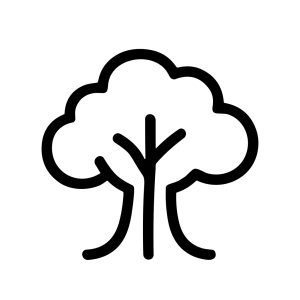 Simple Outline Silhouette Decorative Tree with Foliage Icon Illustration