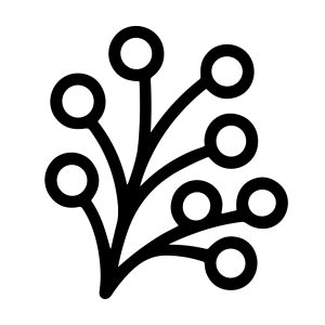 Simple Outline Botanical Berry Plant with Circle Fruit Element Icon