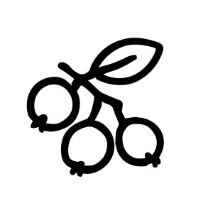 Simple Handdrawn Cranberry Fruit Branch Outline Illustration Clip Art