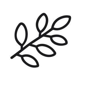 Minimalist Line Art Delicate Branch with Leaves Natural Element Graphic