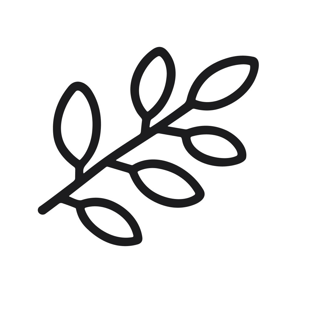 Minimalist Line Art Delicate Branch with Leaves Natural Element Graphic