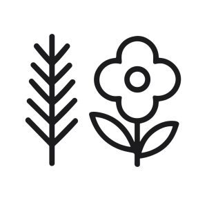Minimalist Outline Wheat and Flower Illustration Decorative Floral Design Element