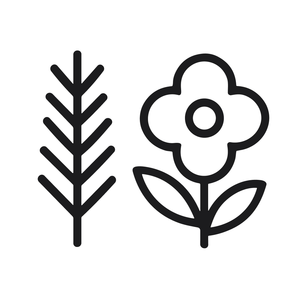 Minimalist Outline Wheat and Flower Illustration Decorative Floral Design Element