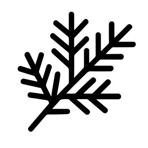 Simple Line Art Branch Leaves Botanical Illustration Minimalist Black and White Icon