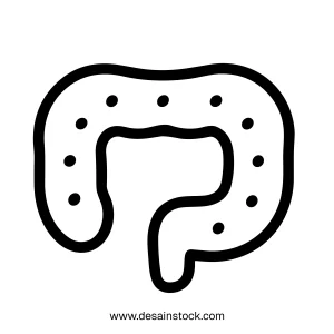 Handdrawn Simple Colon Gut Intestine Organ Line Art Illustration