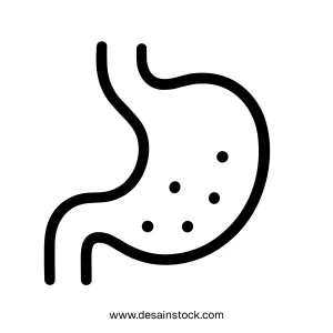 Simple Line Art Stomach Icon with Digestion Symbols Medical Illustration