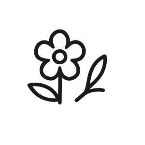 Minimalist Outline Flower with Leaf Line Art Floral Design Element