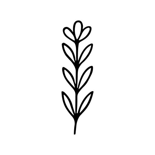 Minimalist Handdrawn Botanical Lavender Plant with Leaves and Flower Illustration