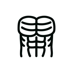 Minimalist Handdrawn Six Pack Abs Muscular Body Line Art Icon