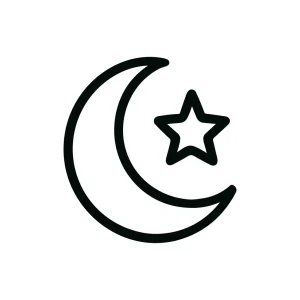 Simple Line Crescent Moon and Star Shape Icon