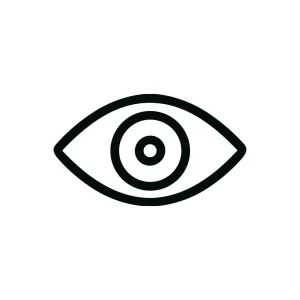 Simple Outline Human Eye with Circular Pupil Shape Icon Design