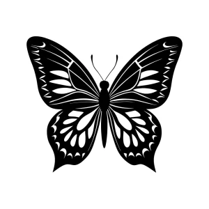 Elegant Detailed Black and White Butterfly Insect Creature Illustration