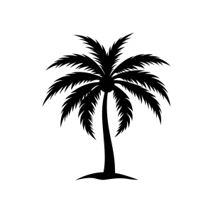 Simple Silhouette Tropical Palm Tree Graphic Illustration