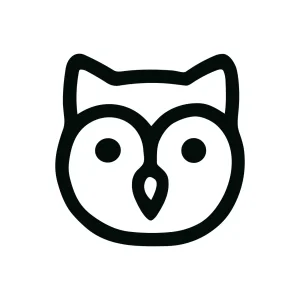 Simple Outline Owl Face Line Drawing Isolated on White Icon