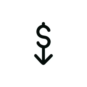 Simple Outline Dollar Downward Arrow Currency Icon