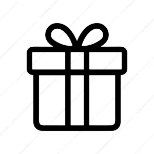 Simple Outline Present Icon Box Shape Gift