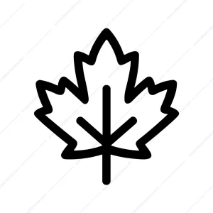 Simple Outline Maple Leaf Symbol Nature Icon