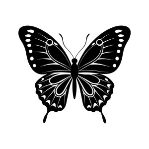 Elegant Black and White Butterfly Silhouette Detailed Illustration Insect