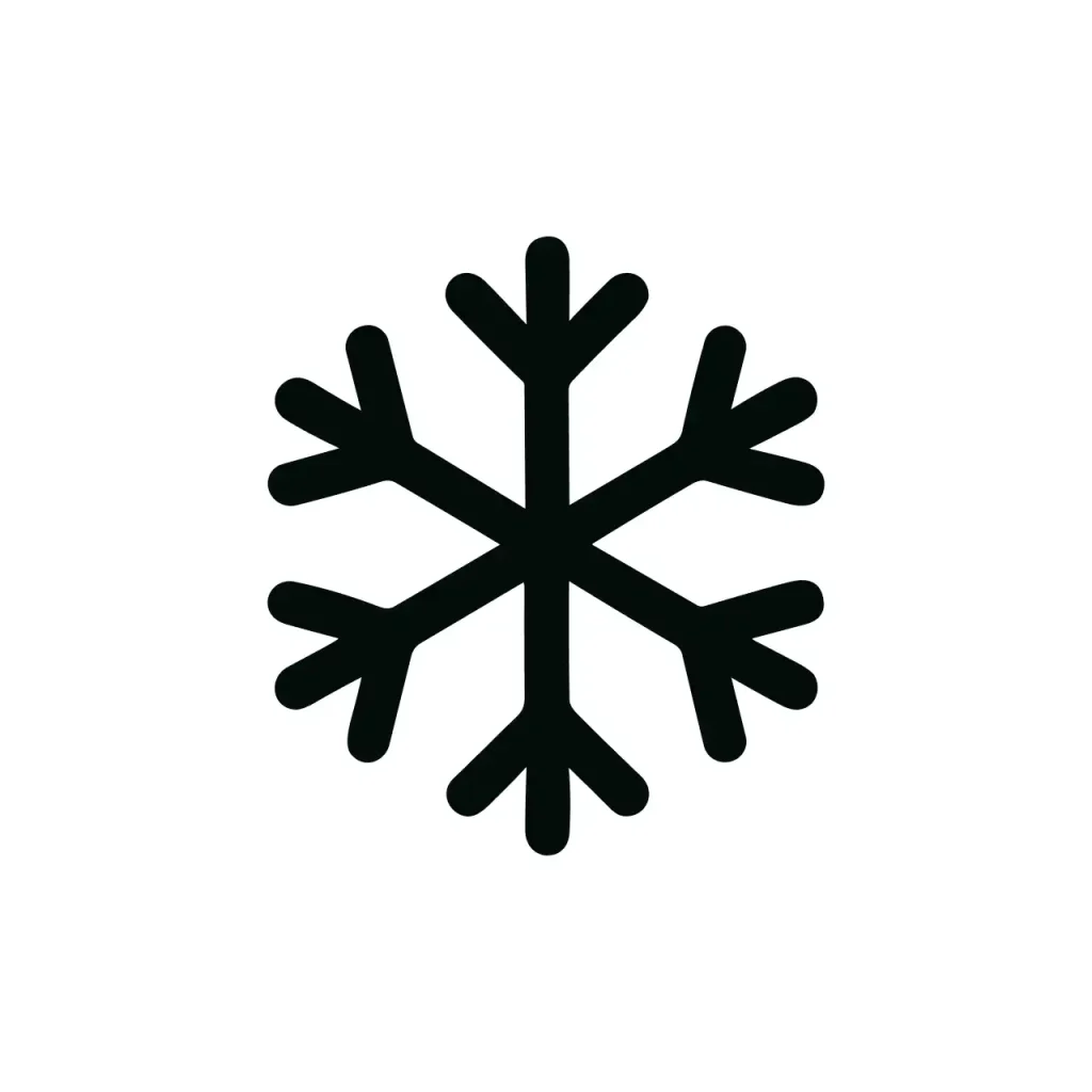 Simple Line Art Snowflake Winter Season Holiday Symbol Icon
