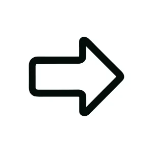 Simple Bold Outline Right Arrow Navigation Icon