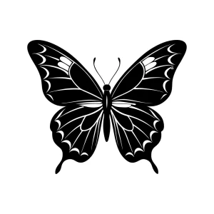 Elegant Monochromatic Butterfly Illustration, Detailed Wings Insect, Black and White Drawing