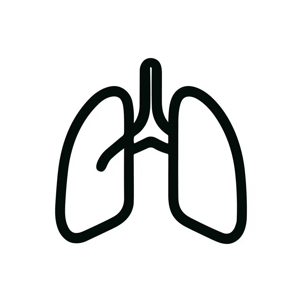 Outline Simple Lungs Anatomy Organ Medical Line Art