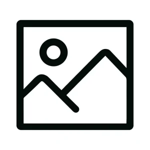 Simple Outline Landscape With Sun and Mountain Icon