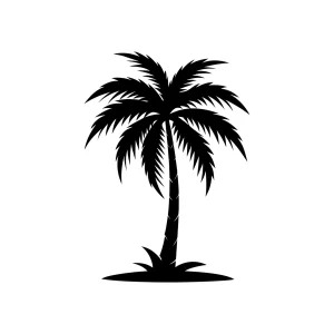 Simple Black Silhouette Exotic Palm Tree Illustration