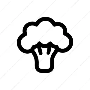 Outline Simple Broccoli Head Vegetable Sign Shape Icon