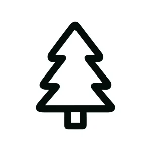 Minimalist Outline Tree Symbol Pine Fir Spruce Icon Design Element