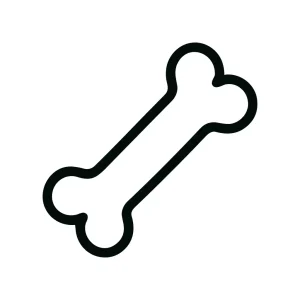 Simple Outline Bone Graphic Element Object Icon