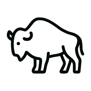 Minimalist Outline Simple Buffalo Standing Wild Animal Icon