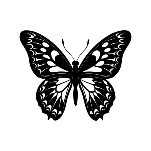Detailed Lineart Butterfly Silhouette Design Isolated on White Background Illustration